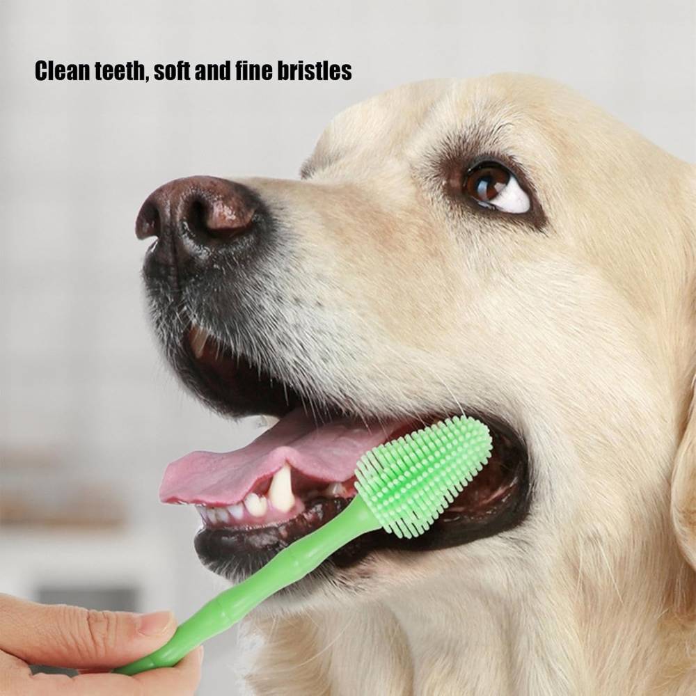 IntiMeg - Brosse à dents verte pour chien - IntiMeg - Image 5