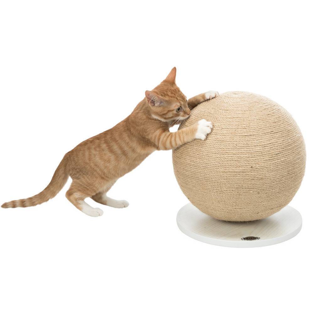 animallparadise - Griffoir boule ø 29 cm, forme rond  pour chat monté sur plateau. - Imagen 4