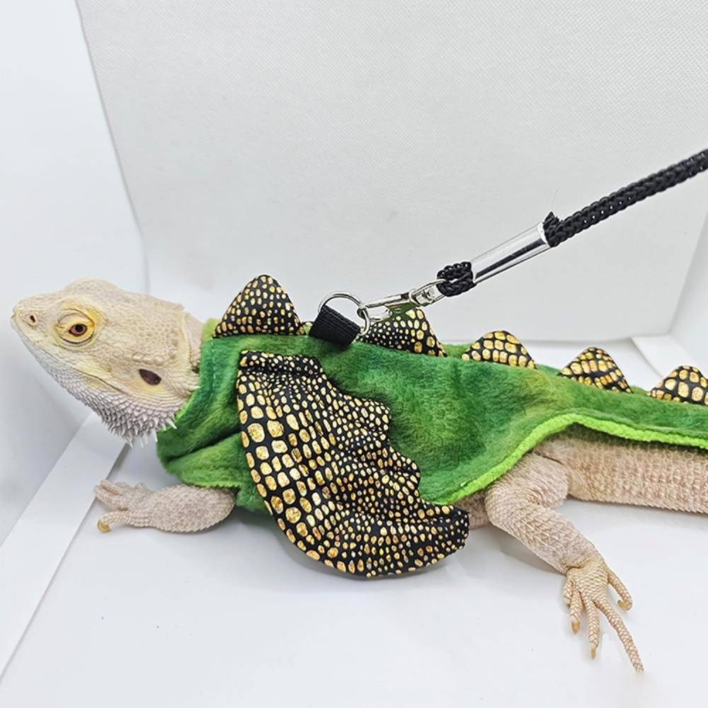 DtopbuyAge - Harnais et laisse pour reptiles et petits animaux DtopbuyAge - Image 2