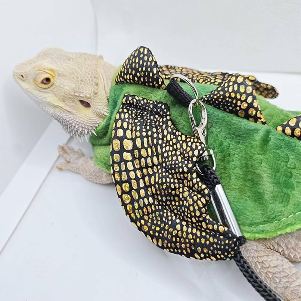 DtopbuyAge - Harnais et laisse pour reptiles et petits animaux DtopbuyAge - Image 3