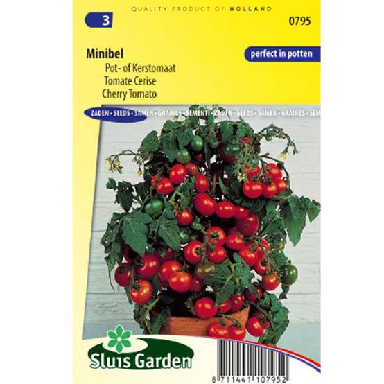 Tomate Minibel - Tomate cerise le sachet de 90 graines environ (0,2g)
