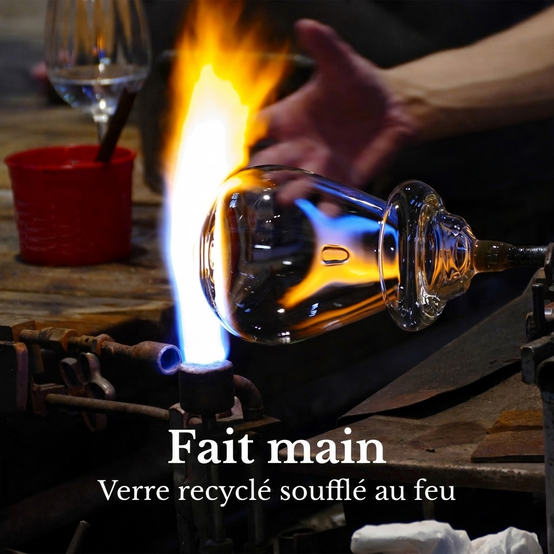 0 - Terrarium Grand - Ø25 cm - Écosystème - Verre - DIY - Image 4