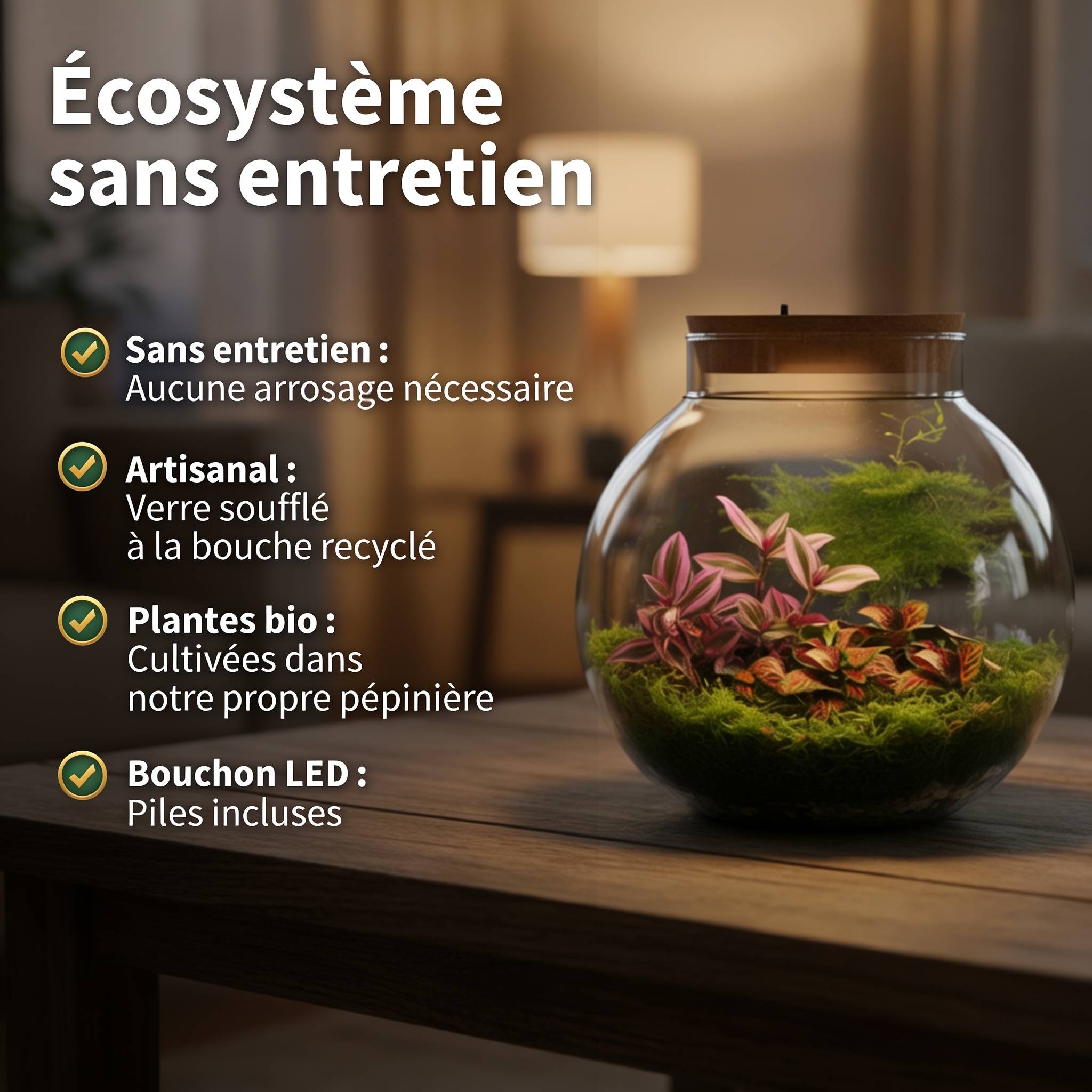 0 - Terrarium Grand - Ø25 cm - Écosystème - Verre - DIY - Image 3