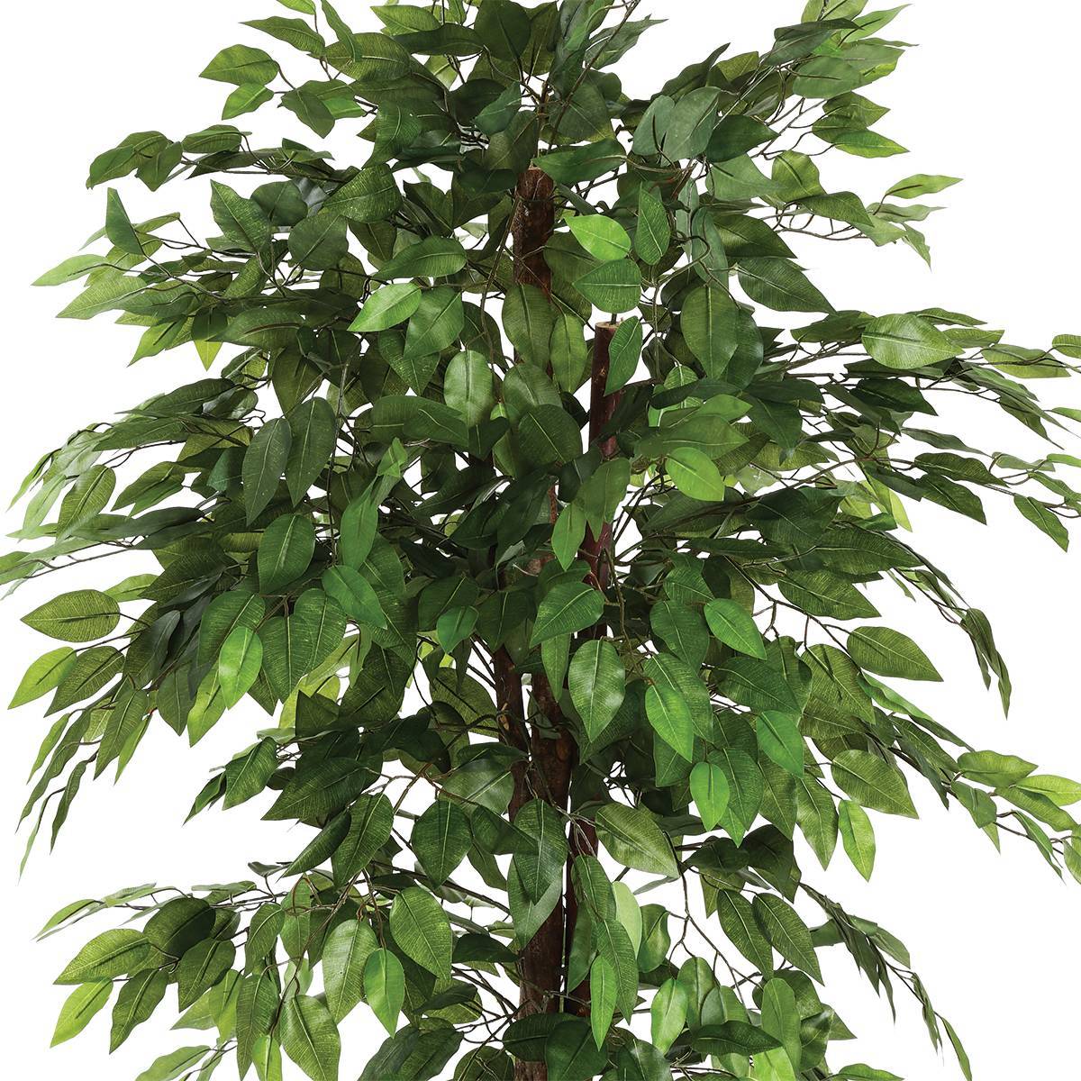 Atmosphera - Ficus artificiel "Benjamina" vert H180cm - Atmosphera Créateur d'intérieur - Imagen 2