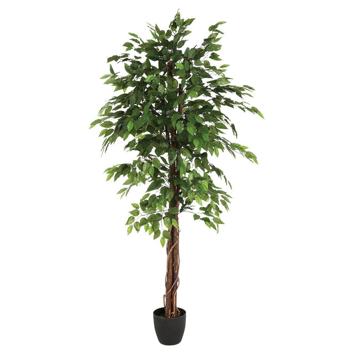 Atmosphera - Ficus artificiel "Benjamina" vert H180cm - Atmosphera Créateur d'intérieur - Imagen 1