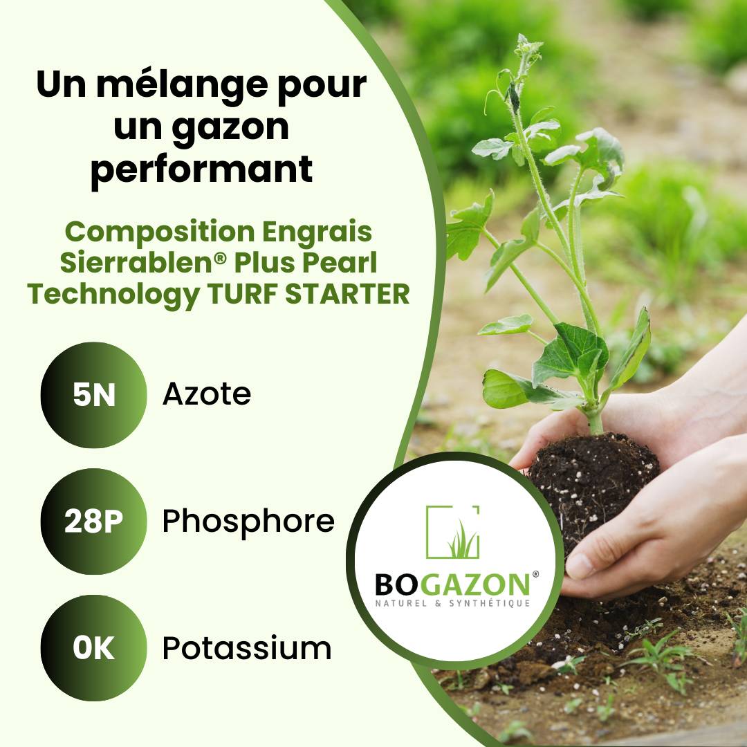 Engrais Gazon Sierrablen® Plus 5-28-0 25KG Bogazon® | Nutrition Longue Durée pour Pelouses | Libération Contrôlée & Croissance Maîtrisée - Image 5