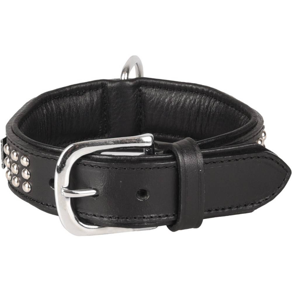 Collier Cuir SEDONA noir taille S 26-31 cm pour chien. - Imagen 2
