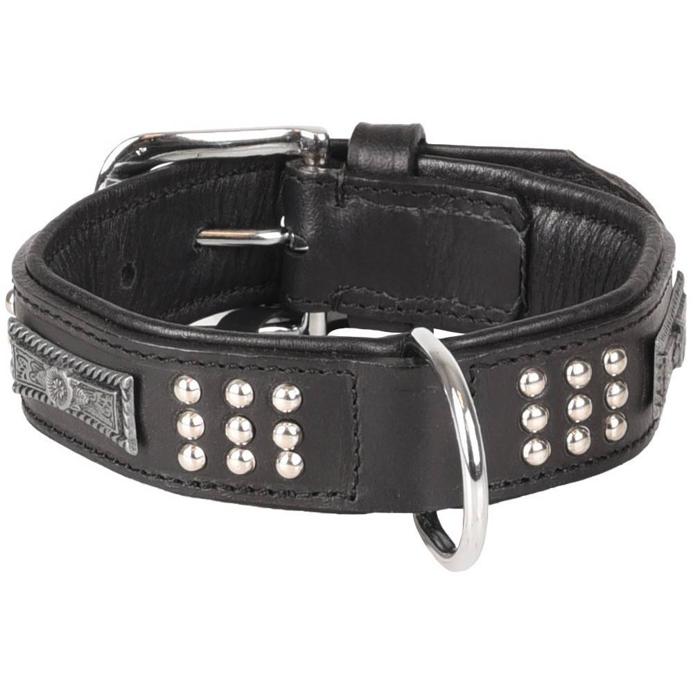 Collier Cuir SEDONA noir taille S 26-31 cm pour chien. - Imagen 1