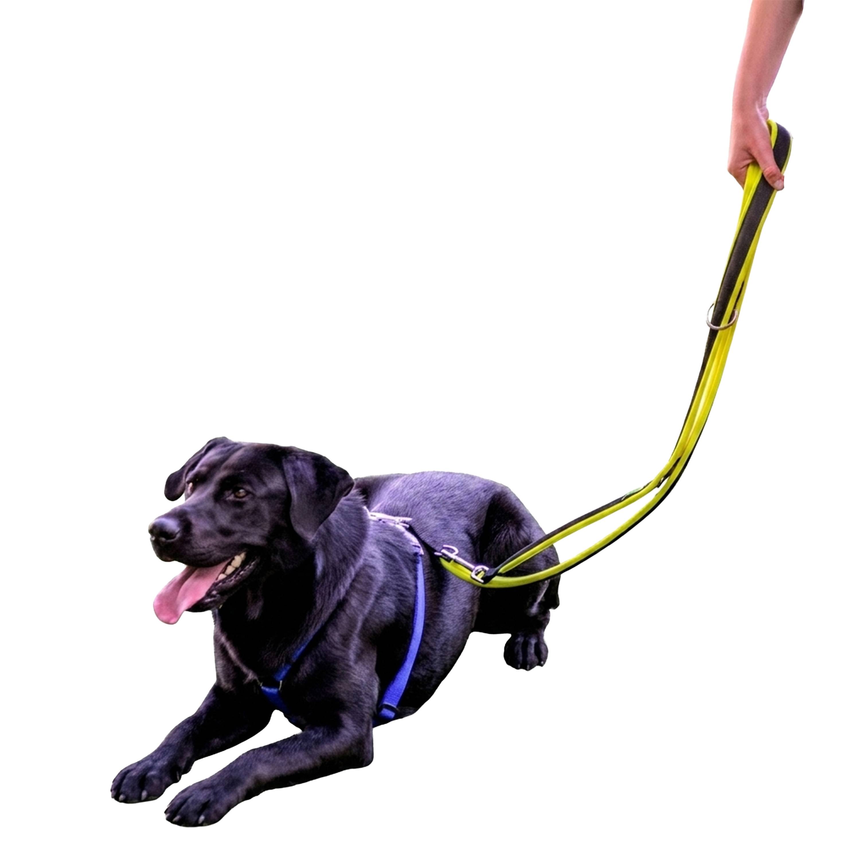 Ferplast - Ferplast Laisse pour chien Ferplast ERGOFLUO, Laisse de dressage pour chien taille grande, Poignée Rembourrée, Mousqueton en métal. Longueur réglable. - Imagen 5