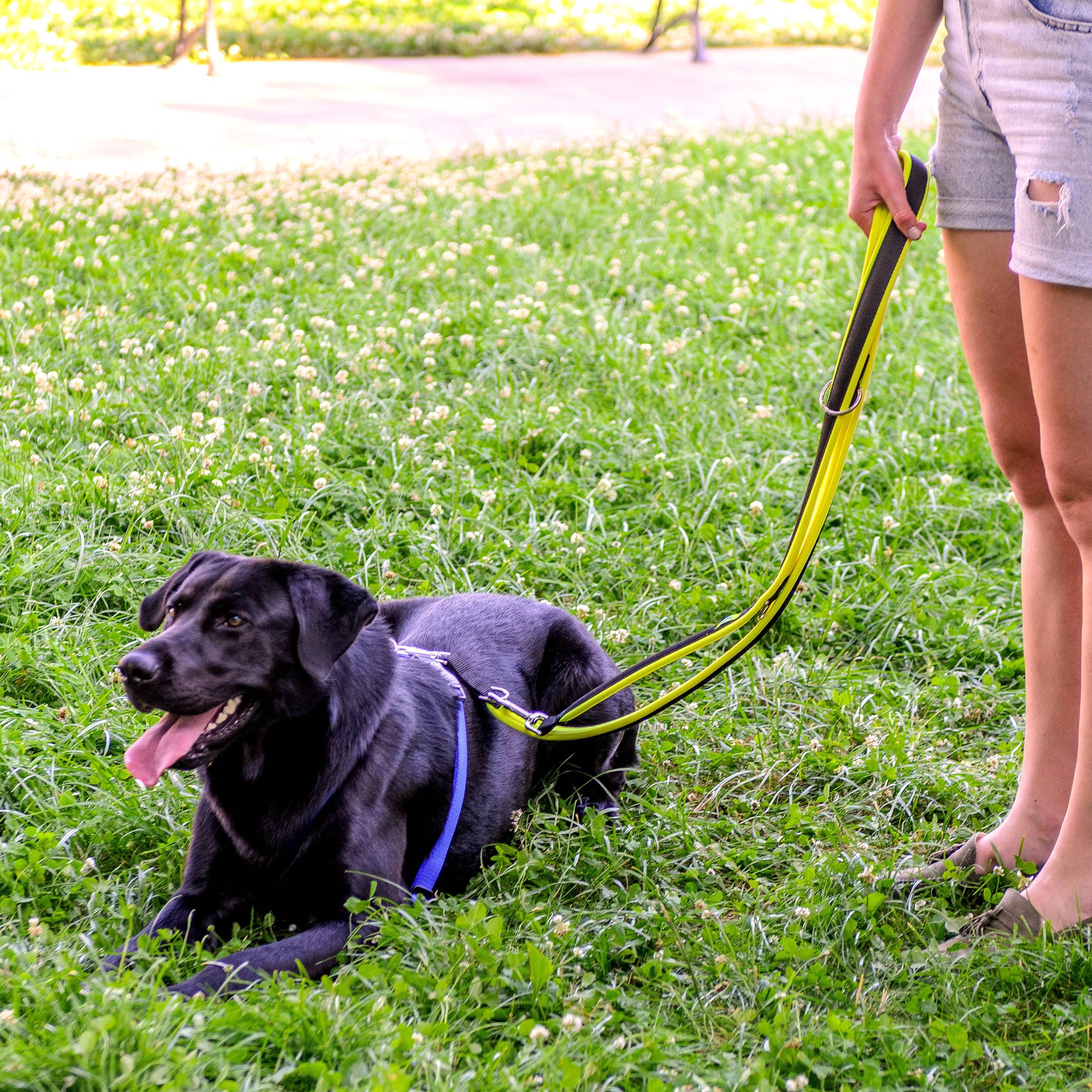 Ferplast - Ferplast Laisse pour chien Ferplast ERGOFLUO, Laisse de dressage pour chien taille grande, Poignée Rembourrée, Mousqueton en métal. Longueur réglable. - Imagen 3