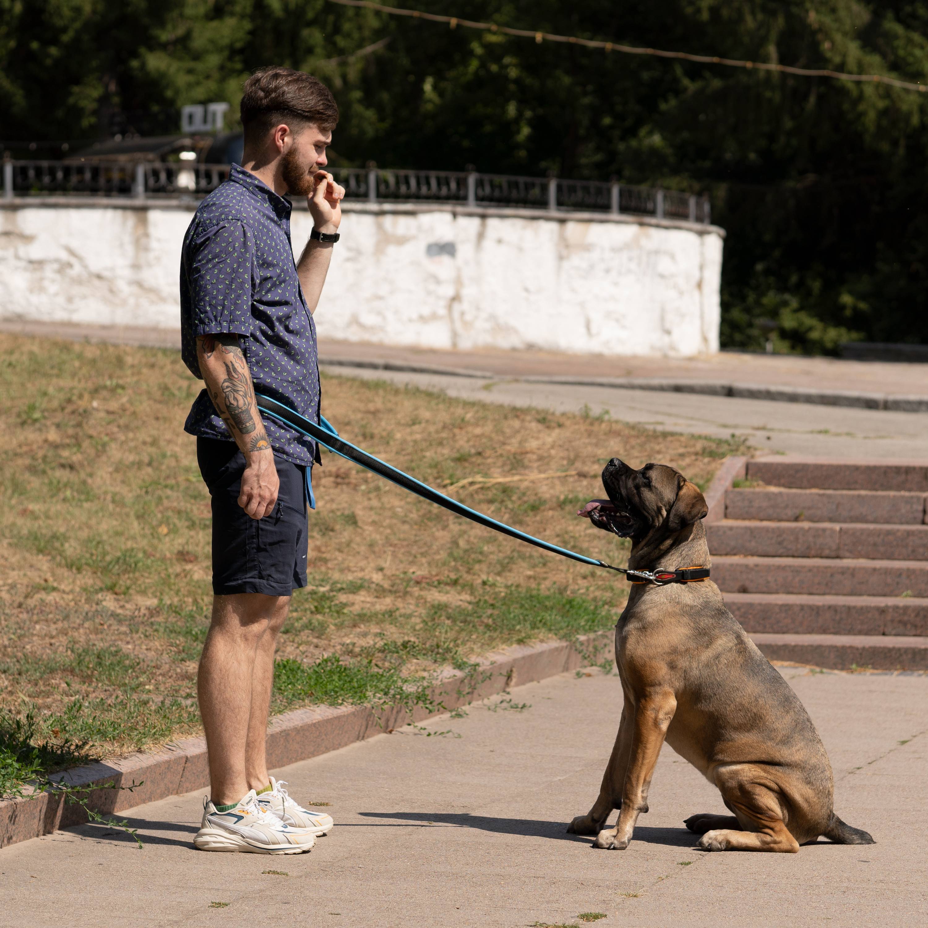 Ferplast - Ferplast Laisse pour chien Ferplast ERGOFLUO, Laisse de dressage pour chien taille grande, Poignée Rembourrée, Mousqueton en métal. Longueur réglable. - Imagen 4