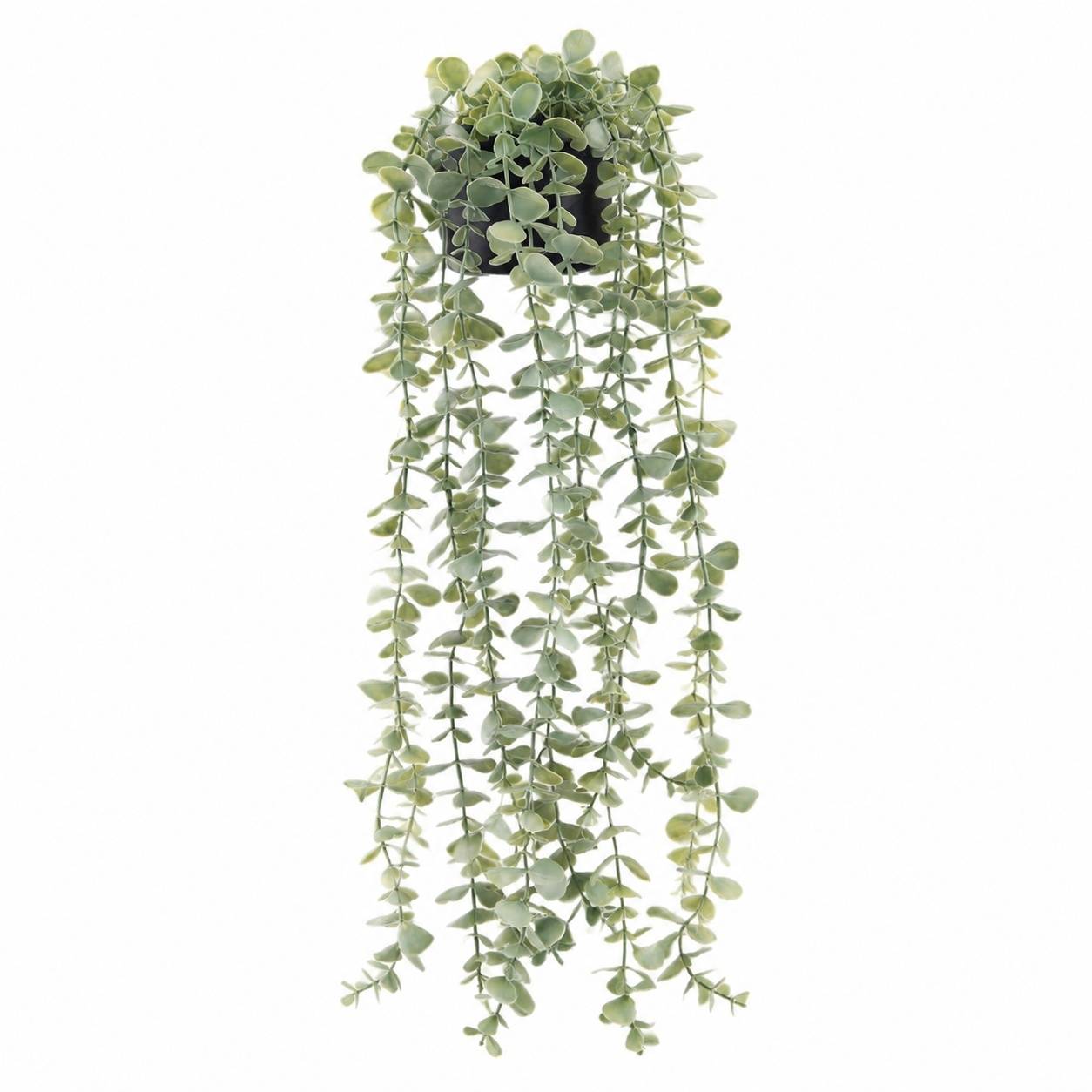 Plante Artificielle Suspendue Eucalyptus Pot Noir Décoration Intérieure Chambre Salle de Bain