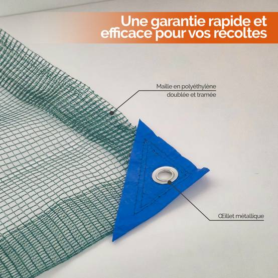 Filet de récolte pour olives ou autres avec oeillets et ouverture tronc - 6 x 6 m - Vert - Linxor - Image 3