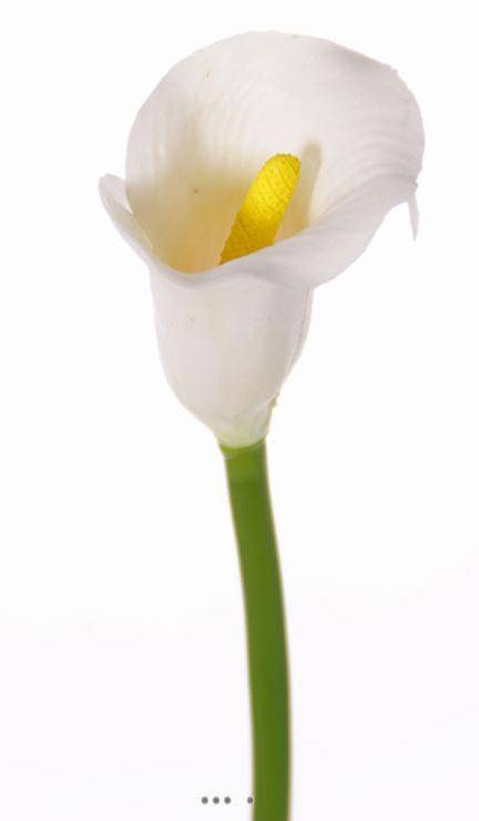 Artificielles - Arum calla Zantedeschia artificiel H 55 cm Crème - couleur: Crème