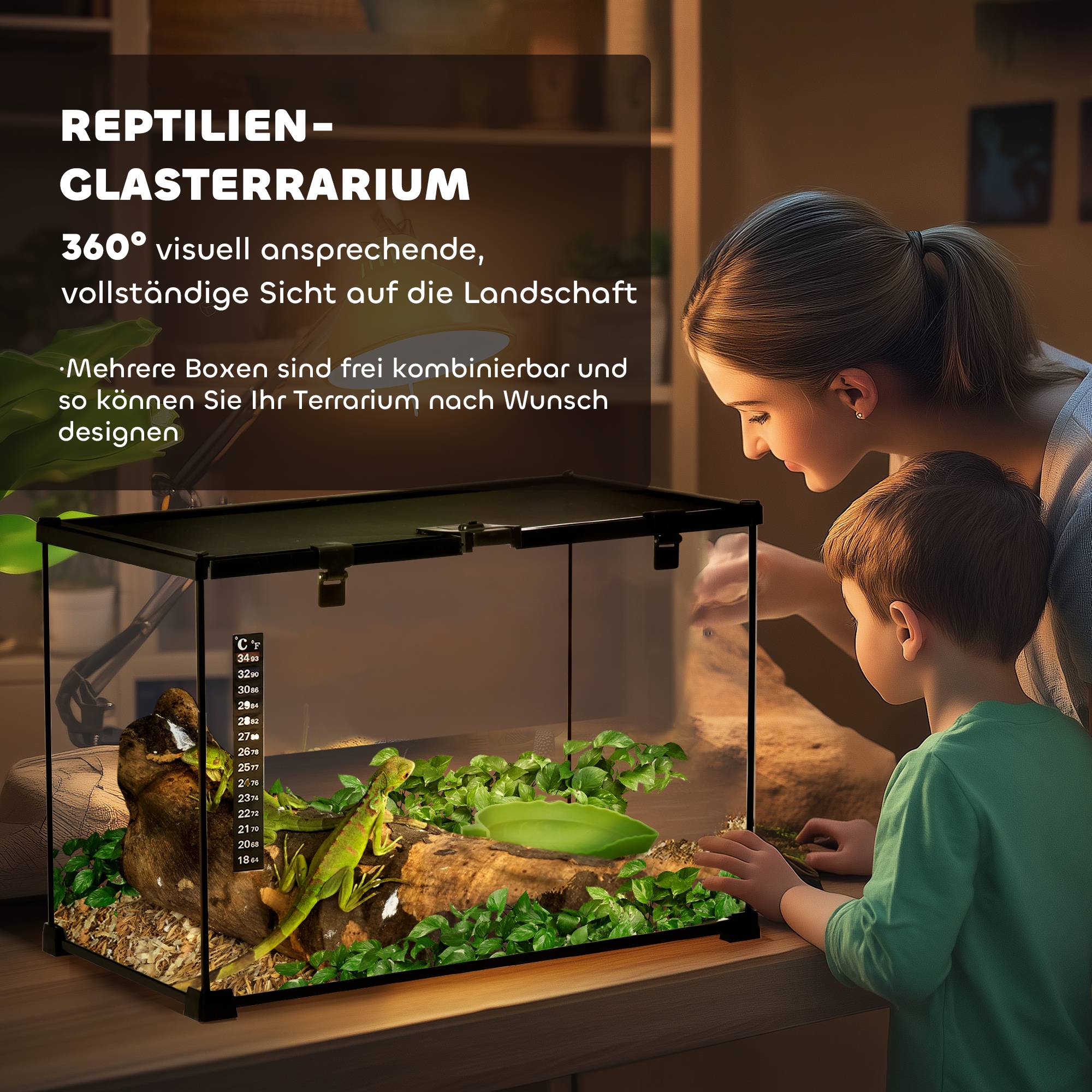 Terrarium pour reptiles, mangeoire pour reptiles, terrarium en verre pour amphibiens et arachnides avec thermomètre,noir, 50 x 30 x 35 cm - Image 6