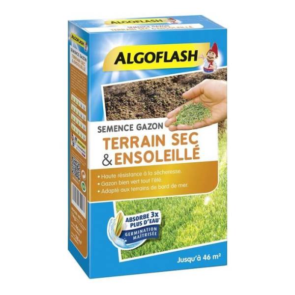 Algoflash - ALGOFLASH - Gazon terrain sec ensoleillé 1kg - Image 3