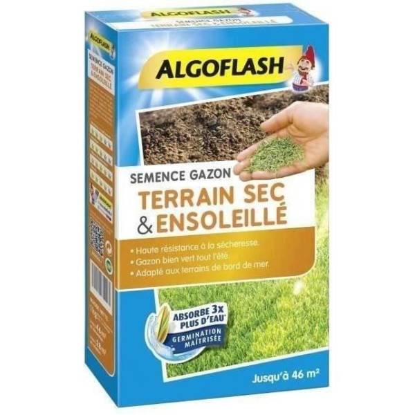Algoflash - ALGOFLASH - Gazon terrain sec ensoleillé 1kg - Image 1