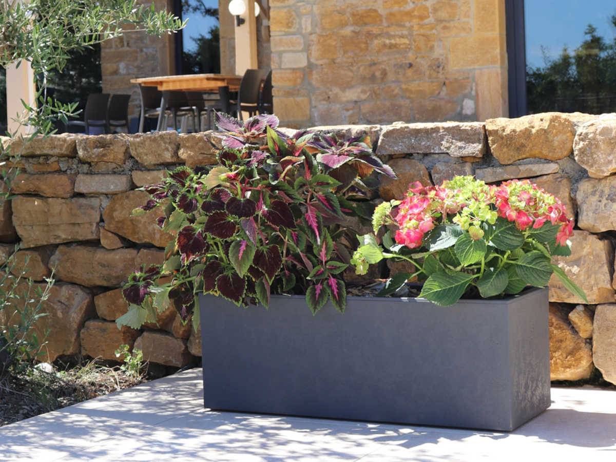 Eda - Jardiniere Basalt Up 57l Anthracite Eda - 13763 G.ant - Image 2
