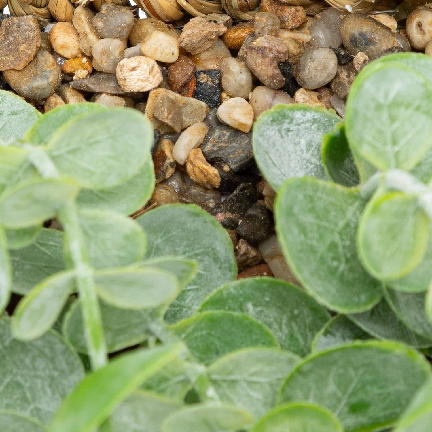 Eucalyptus à suspendre avec pot naturel - H. 70 cm - Atmosphera - Image 3