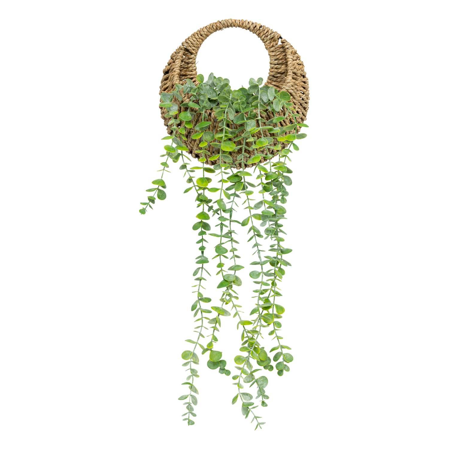 Eucalyptus à suspendre avec pot naturel - H. 70 cm - Atmosphera - Image 1