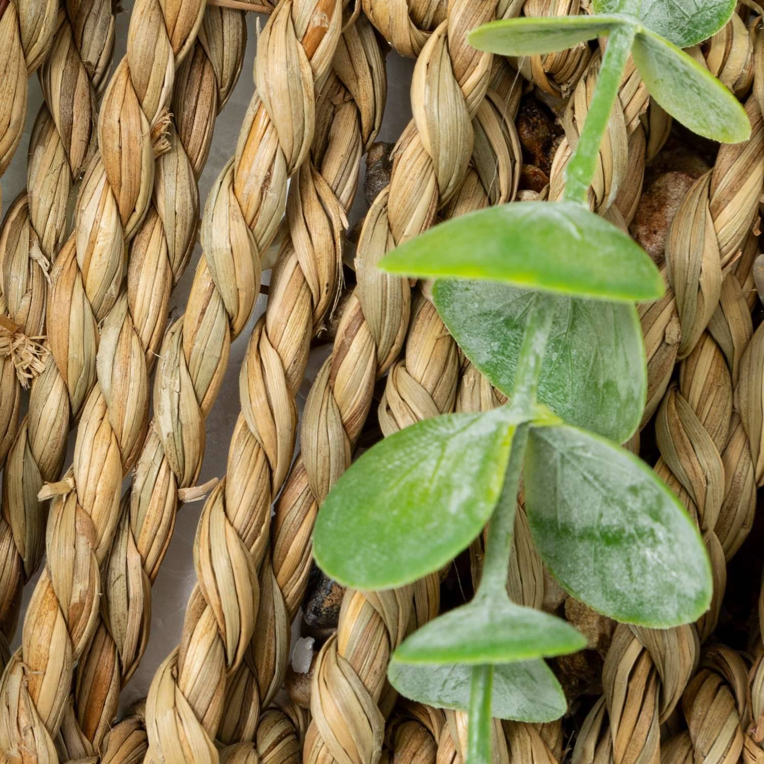 Eucalyptus à suspendre avec pot naturel - H. 70 cm - Atmosphera - Image 4