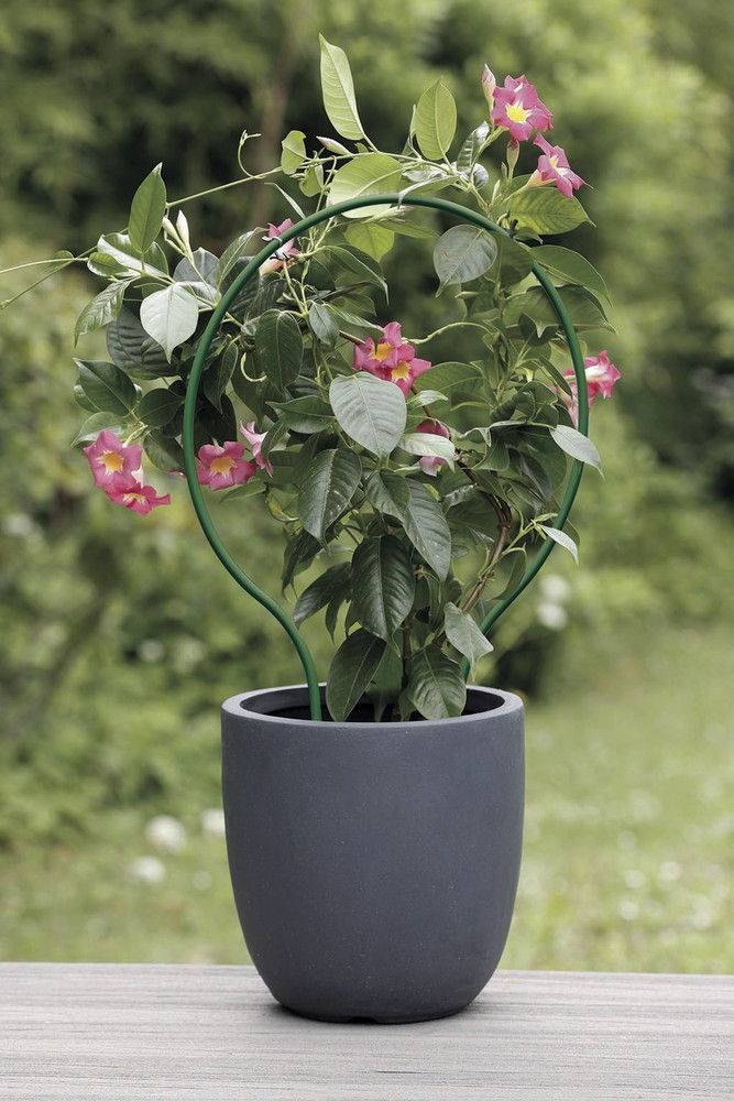 Nortène - Tuteur arceau plastique Plast Arc vert - 38 x 60 cm -  polypropylène Nortene - Imagen 2