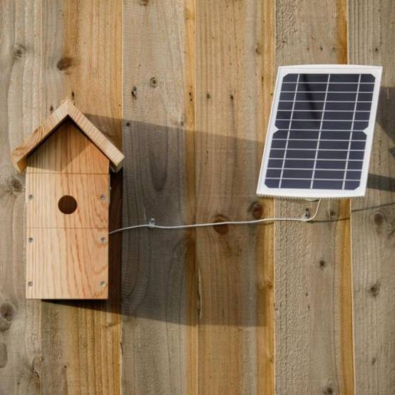 Nestera - Nichoir avec caméra HD et panneau solaire - Image 7