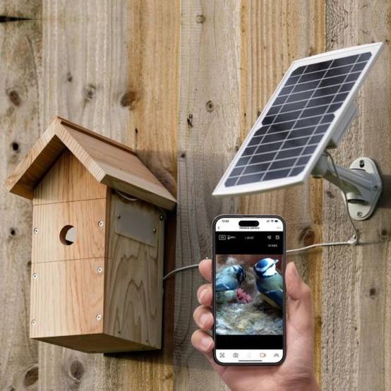 Nestera - Nichoir avec caméra HD et panneau solaire - Image 2