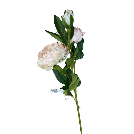 Pivoine Artificielle Creme et rose - Image 1