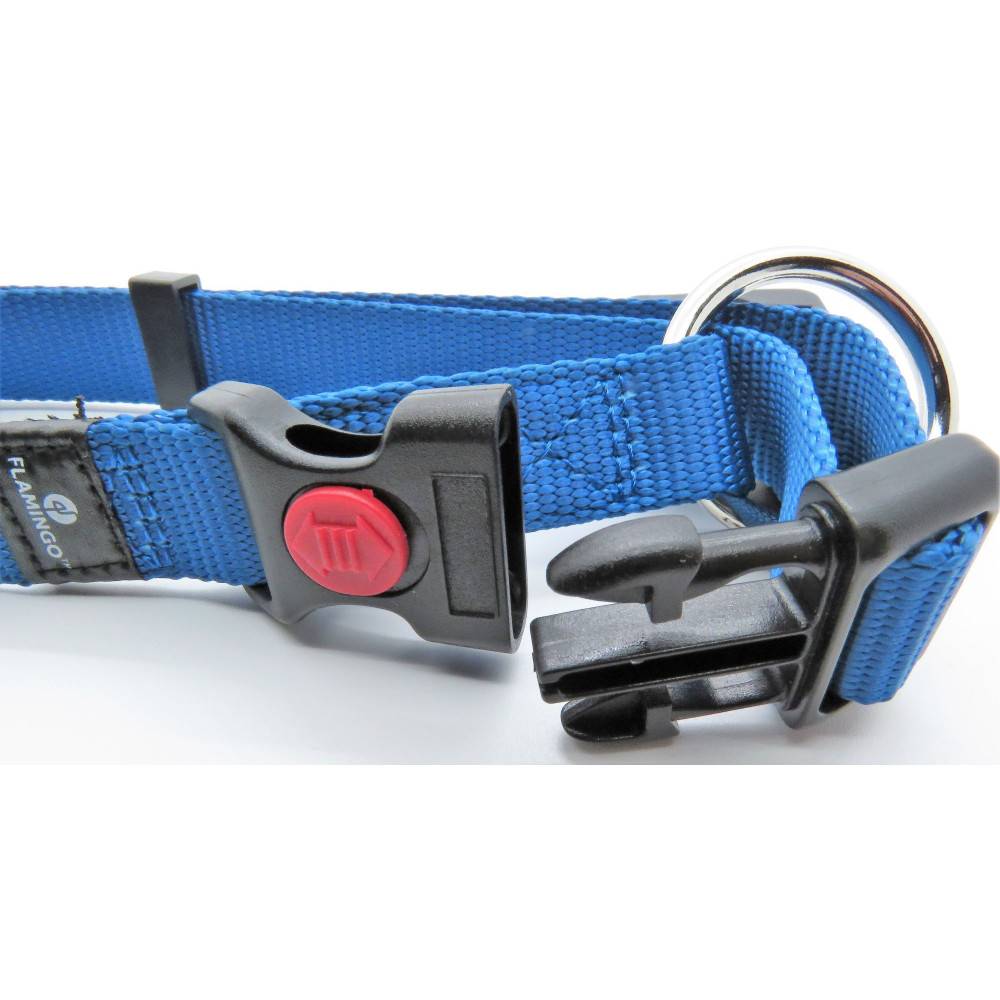 Collier Ziggi bleu 40 -55 cm. 20 MM . taille M. pour chien. - Imagen 3