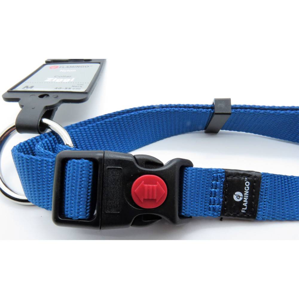 Collier Ziggi bleu 40 -55 cm. 20 MM . taille M. pour chien. - Imagen 2