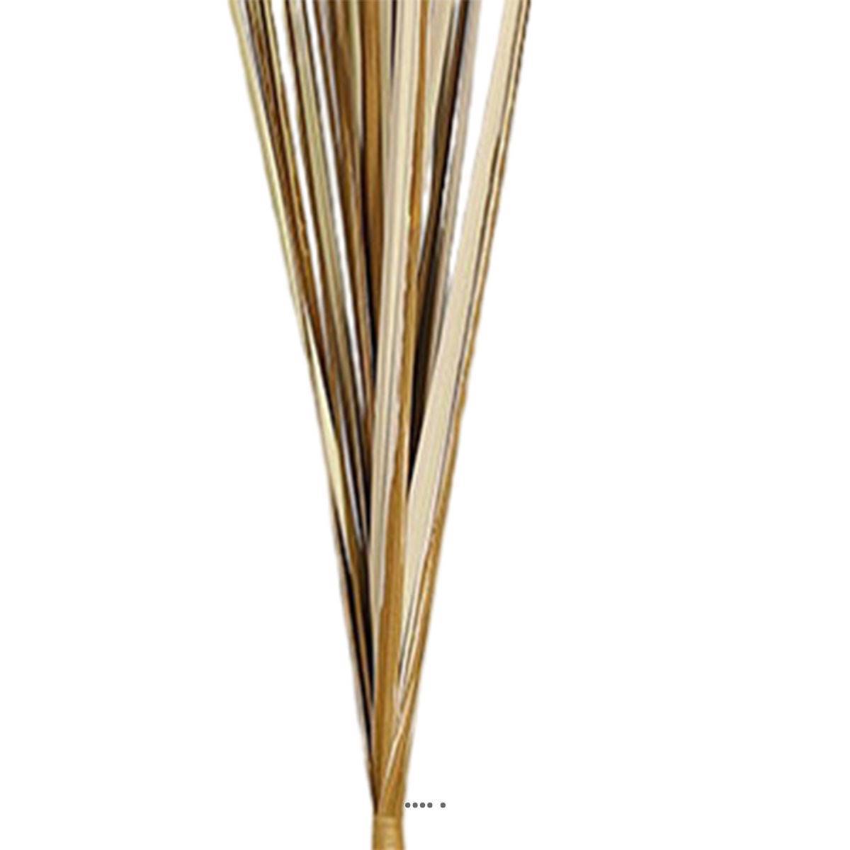 Artificielles - Isolepsis artificiel H 70 cm en tige brun ouvert superbe - Imagen 3