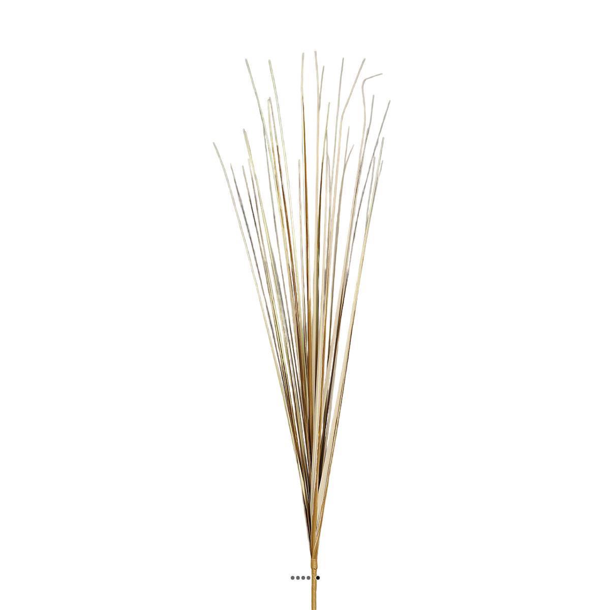 Artificielles - Isolepsis artificiel H 70 cm en tige brun ouvert superbe - Imagen 1