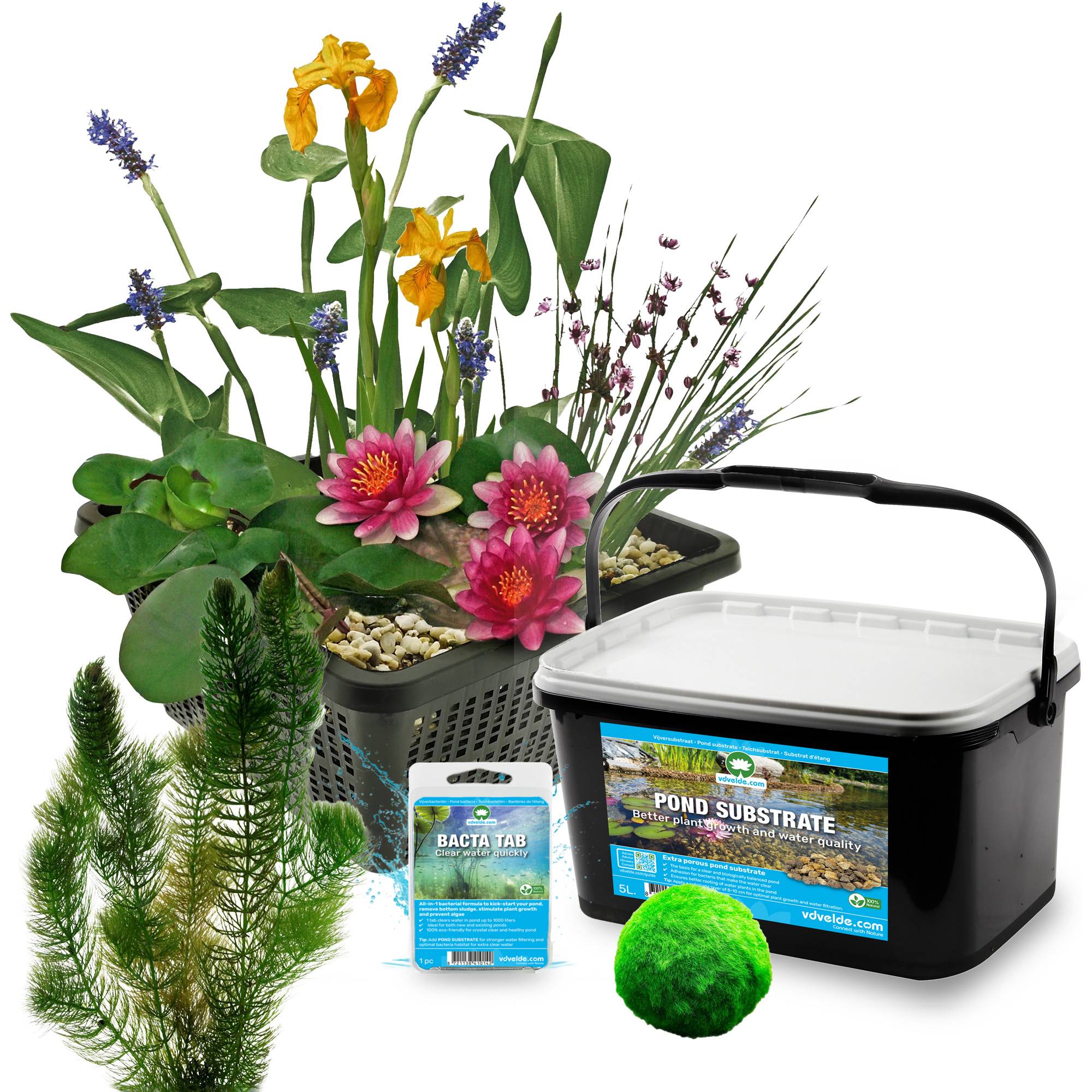 0 - Mini Bassin Set Complet Rouge 25-90L - 11 Plantes et Bactéries - Image 3