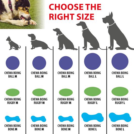Ferplast - Ferplast Jouet Chien, Balle pour Chien, en Matériau Durable, Non Toxique, Résistante aux Morsures, pour l'Hygiene Dentaire, Rebondissant et Flottant, - Imagen 2