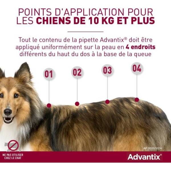 Advantix - ADVANTIX Chien Solution Antiparasitaire Race Moyenne 10 a 25kg 6 pipettes - Image 2
