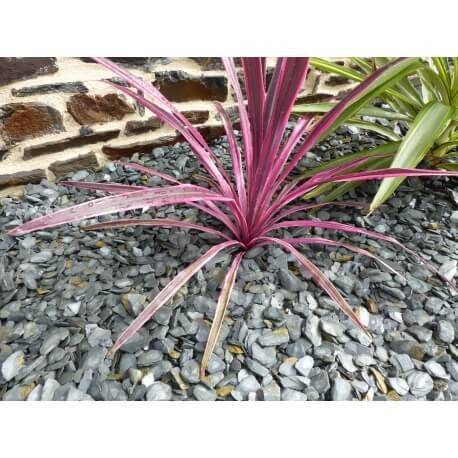 Paillage Ardoise GRIS 10-30 Pack 17 m² - 40 sacs - 1000 kg - Image 1