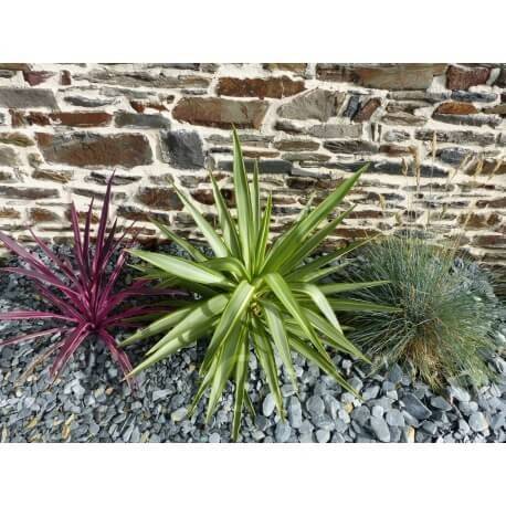 Paillage Ardoise GRIS  10-30  Pack 17 m² - 40 sacs - 1000 kg - Image 3