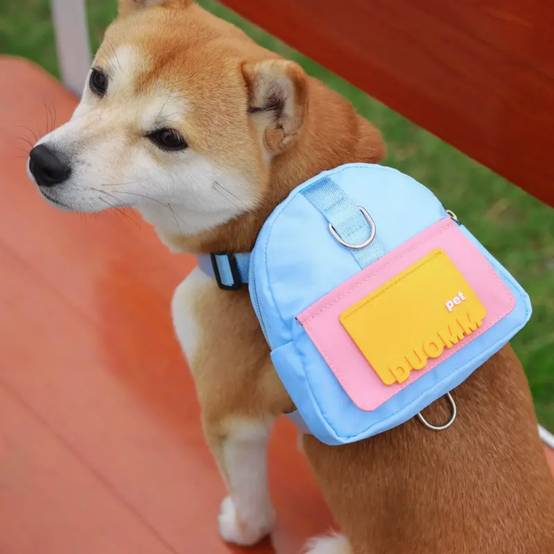 IntiMeg - Sac à dos avec laisse pour chien IntiMeg - Image 3