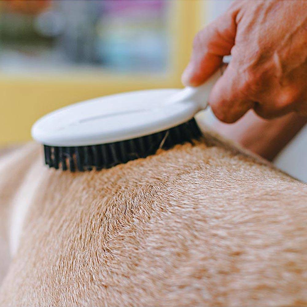 Ferplast - Brosse pour Chiens et Chats GRO 5760 PREMIUM, Poils Souples, Ergonomique - Image 3
