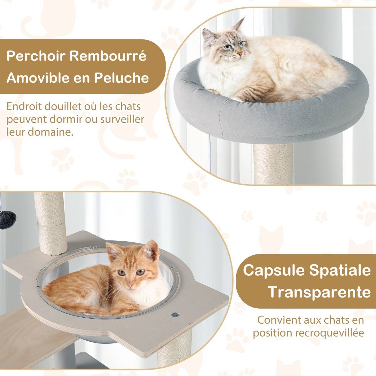 Arbre à Chat Moderne Tour pour Chat Multi-Niveaux de 113cm Perchoir Supérieur Rembourré Amovible - Image 5
