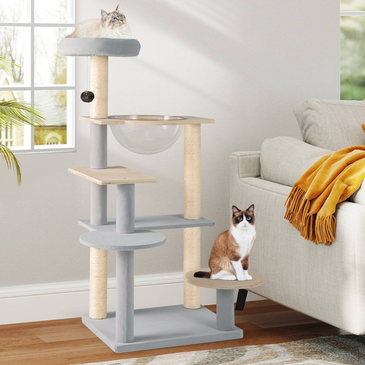 Arbre à Chat Moderne Tour pour Chat Multi-Niveaux de 113cm Perchoir Supérieur Rembourré Amovible - Image 2