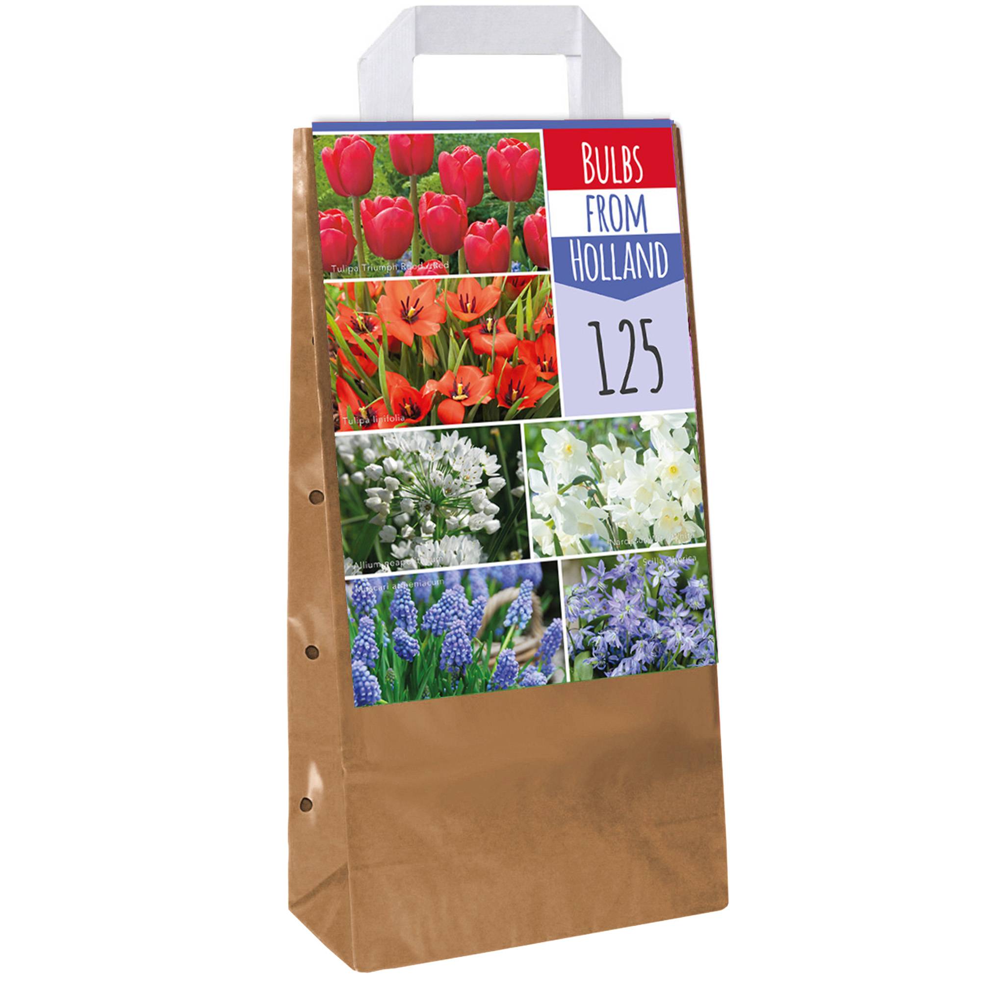 Gardenersdream - Bulbes de Hollande Mix - Tulipe Muscari Scille Narcisse Allium Ampoules à fleurs (125 ampoules) - Imagen 1
