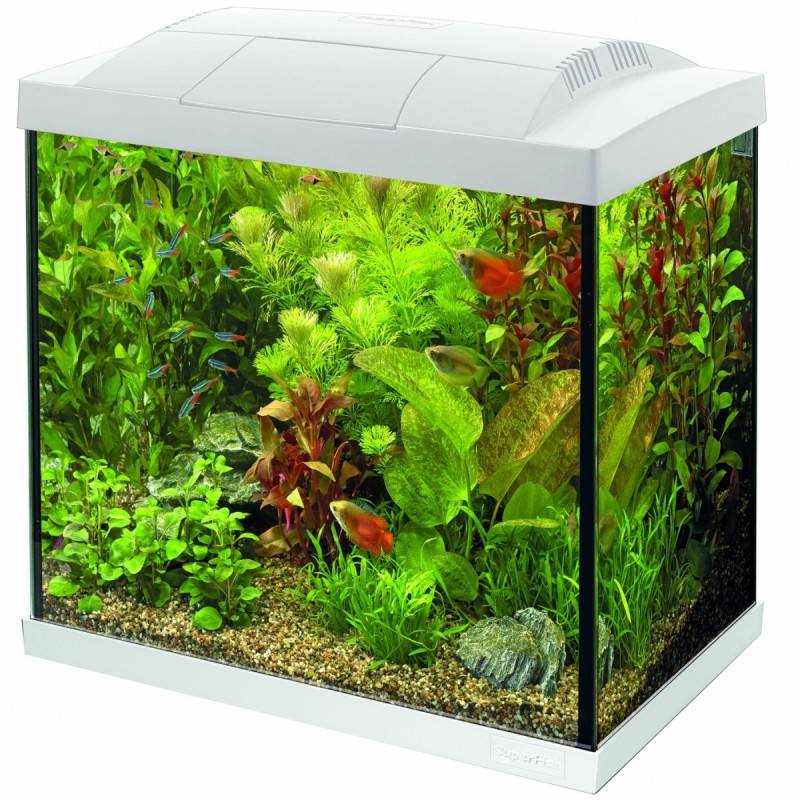Superfish - Aquarium Start 30 Tropical 25 litres 36 x 23 x 37 cm - SUPERFISH