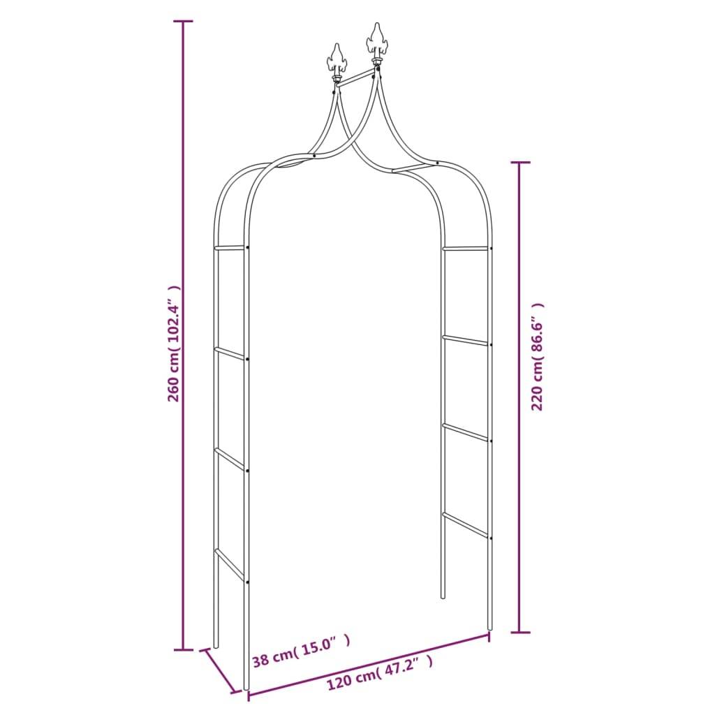 Lot 2 Arches Jardin Acier Rosiers Plantes Grimpantes Décoration Extérieur 120x260 Noir - ComfortXL Outdoor Living - Image 7