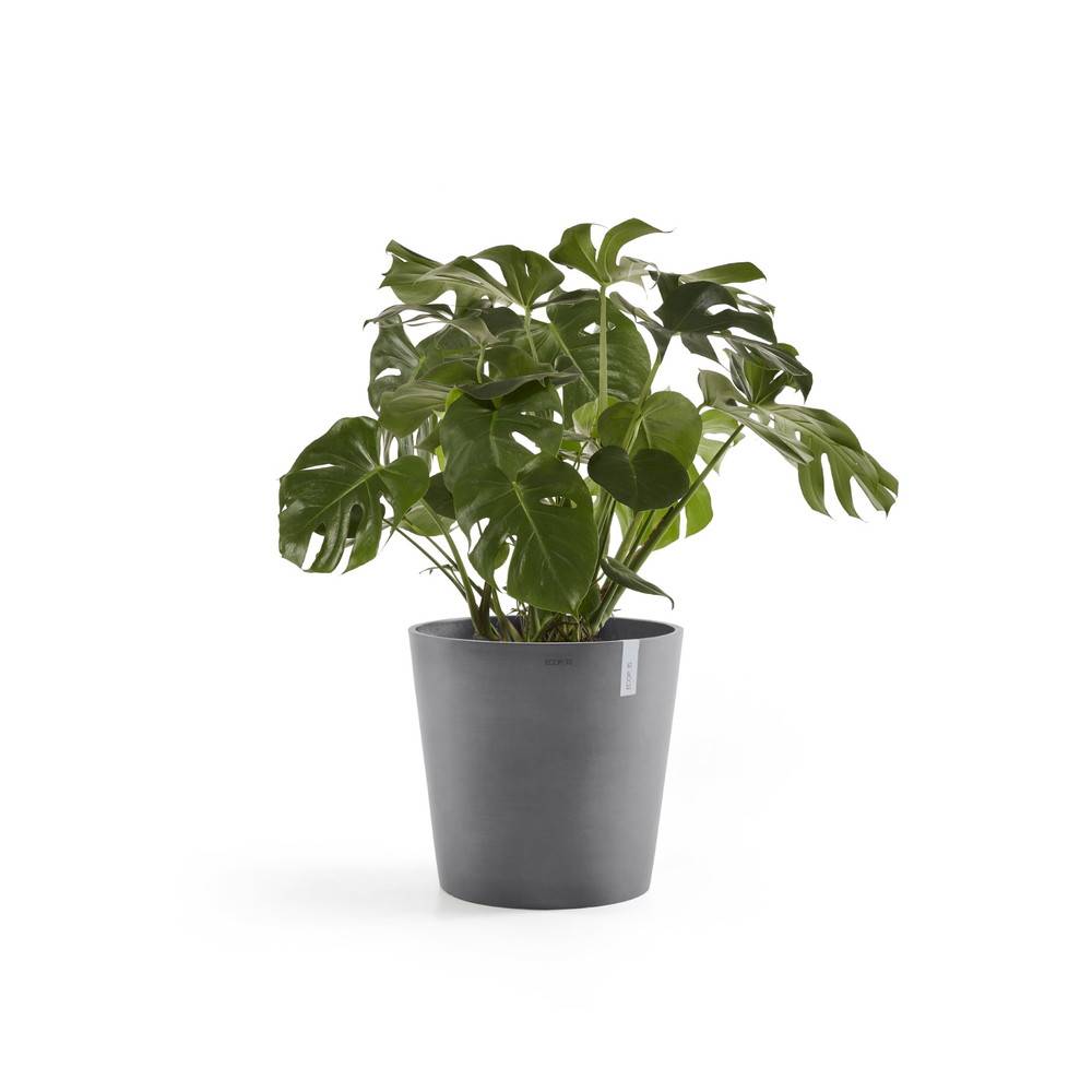 Ecopots - Pot Rond Amsterdam 50 Gris + réservoir d'eau - Ø 50 x H. 43,8 cm - 62 L ECOPOTS - Imagen 1