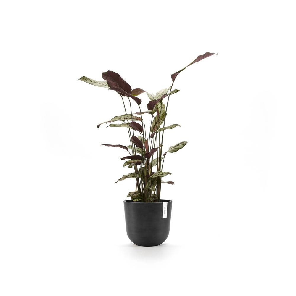 Ecopots - Pot Rond Oslo 25 Gris Foncé - Ø 25 x H. 21,8 cm - 7,7 L ECOPOTS - Imagen 3