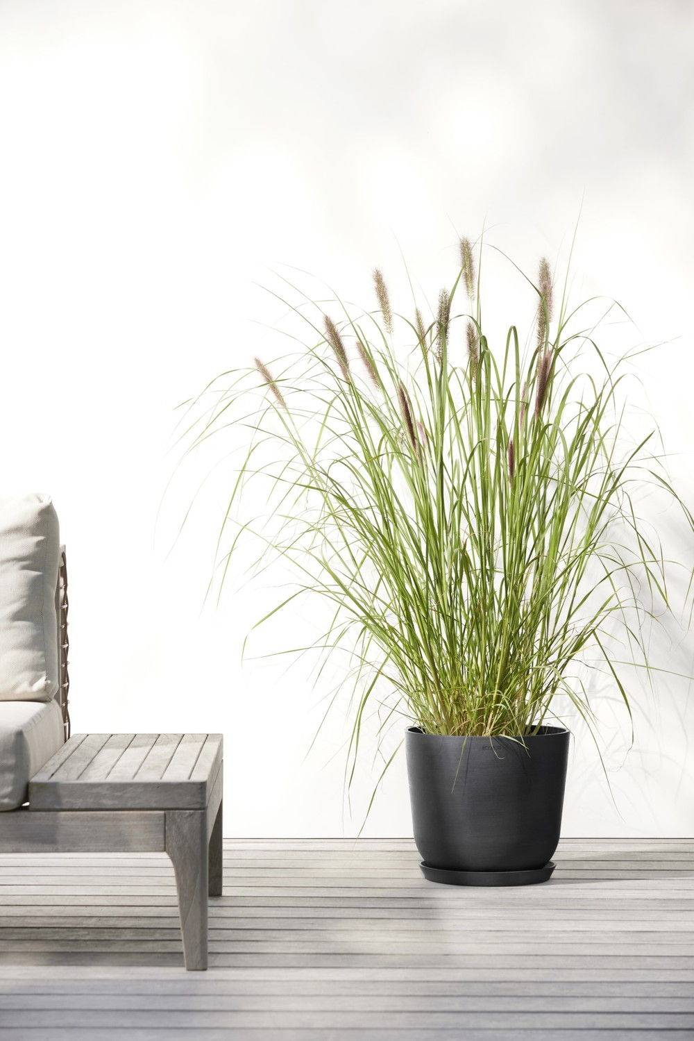 Ecopots - Pot Rond Oslo 25 Gris Foncé - Ø 25 x H. 21,8 cm - 7,7 L ECOPOTS - Imagen 5