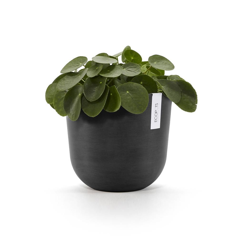 Ecopots - Pot Rond Oslo 25 Gris Foncé - Ø 25 x H. 21,8 cm - 7,7 L ECOPOTS - Imagen 2
