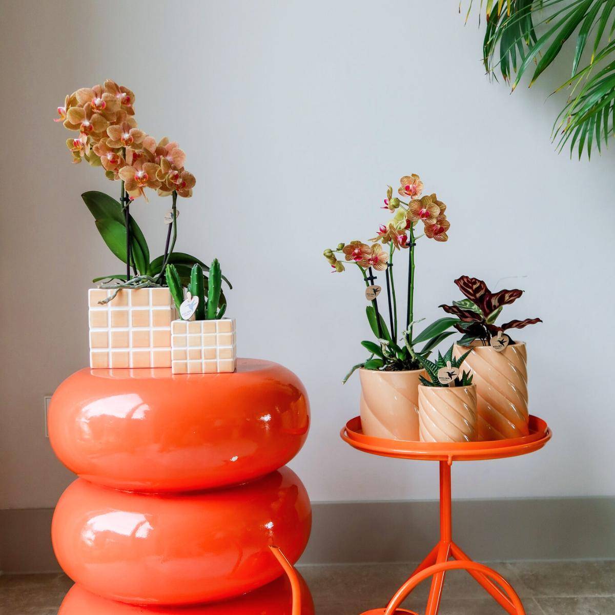 Pot décoratif Mosa - Orange- La Green Touch - Imagen 9